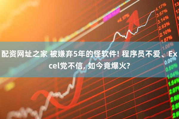 配资网址之家 被嫌弃5年的怪软件! 程序员不爱、Excel党不信, 如今竟爆火?